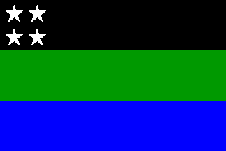 M.L.I.C. flag